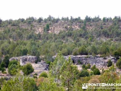 Ciudad Encantada de Tamajón - Retiendas - Almiruete;excursiones cerca de madrid;castañar del tiemb